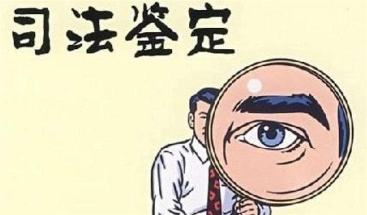 src=http___www.dnadna.cn_uploads_allimg_200110_13193J453-0.jpg&refer=http___www.dnadna.jpg